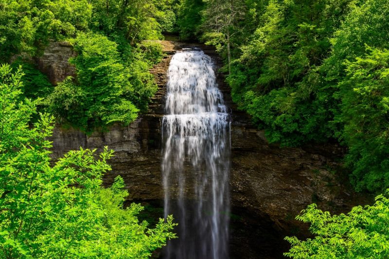 Best Shower Installation pros in Vonore, TN